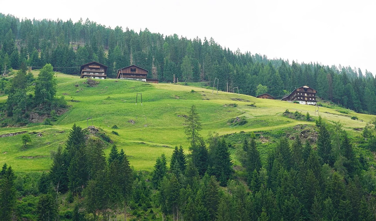 Bergbauernhöfe mit Wiesen und angrenzendem Wald